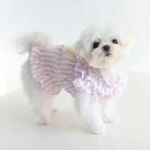 ピンクMサイズ◆【残り数枚】犬服 ワンピース 春 夏 ストライプ 新作 フリル袖 新品 ドッグウェア 犬用品 ペット用品 スナップボタン_画像2