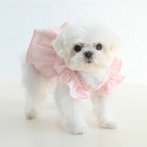 くすみオレンジMサイズ◆【残り数枚】犬服 ワンピース 新品 ノースリーブ フリル袖 新作 ティアード Dカン付き りぼん チェック柄 ドッグ_画像10