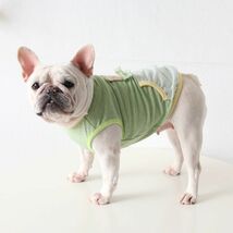 アクアLサイズ◆【残り数枚】犬服 中型犬用 ドッグウェア くまさん ボーダー タンク 熊 カットソー 新作 ペット 新品 春 夏 秋 冬 犬用品_画像8