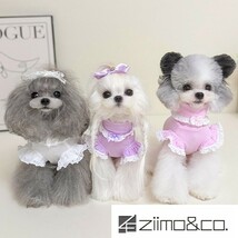 ピンクLサイズ◆【ラスト2枚】犬服 タートルニット 無地 セーター リブニット インナー アウター シャツ カットソー ドッグウェア 新品_画像1