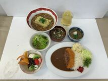 100 ★ 中古27 食品サンプル 実物大 ラーメン 蕎麦 山菜蕎麦 カツカレー サラダ あんみつ デザート レモンスカッシュ ジュース 7点まとめて_画像1