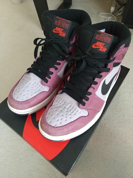 【中古】Nike Air Jordan 1 Element GORE-TEX Berry 26cm DB2889-500