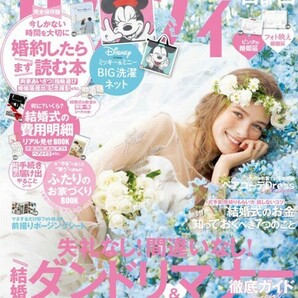 【送料140円〜】雑誌付録【A116】洗濯ネット*ビッグ*ミッキー＆ミニー*持ち運び*取っ手付き*コインランドリーの画像3