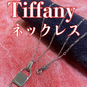 Tiffany ティファニー シルバープレートネックレス　45cm