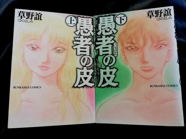 全巻　上下「愚者の皮」草野誼　希少　レア