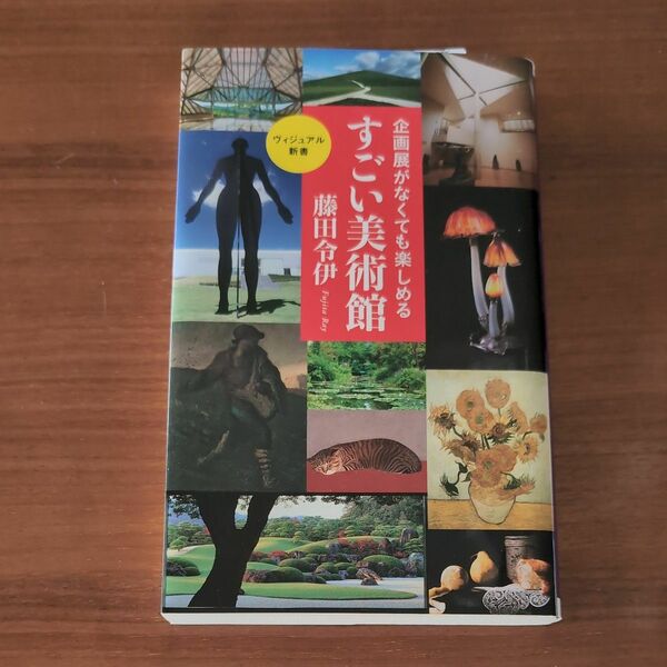 企画展がなくても楽しめるすごい美術館 （ベスト新書　５２７　ヴィジュアル新書） 藤田令伊／著