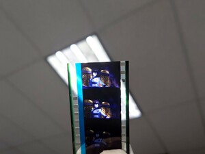 機動戦士ガンダムSEED FREEDOM 新品劇場特典　4DX・MX4D・Dolby Cinema上映入場者プレゼント　名場面抜粋「コマフィルムvol.2」2/９～2/15