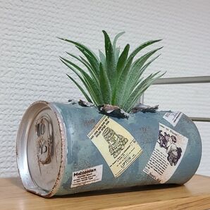 BOSS缶・フェイク多肉植物 No.2