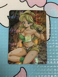  Dragon Ball sexy card abroad made unused beautiful goods one part circle is seen 14