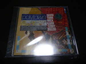 David Torn Mick Karn Terry Bozzio Россия запись CD