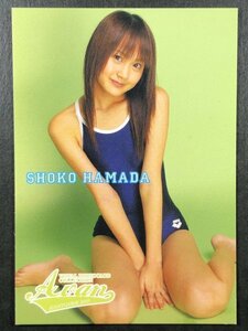浜田 翔子　ColleCarA　RG054　スクール水着 グラビア アイドル トレカ トレーディングカード