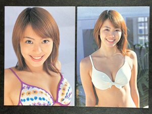 岩佐 真悠子　SIC 2004　コーティングカード　２枚セット　グラビア アイドル トレカ トレーディングカード