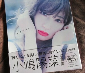 【即決】小嶋陽菜 写真集 どうする？【帯付/美品/送料185円】セクシーショット満載で楽しめる写真集です！