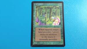 Wild Growth 繁茂 β BETA ベータ MTG マジック・ザ・ギャザリング