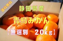 【蔵出し青島みかん】無選別(S〜2L)・20kg箱満杯詰め【※規格外品】送料無料_画像1