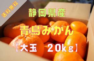 【蔵出し青島みかん】大玉(3L〜4L)・20kg箱満杯詰め【※規格外品】送料無料