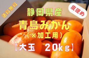 最終特価！【青島みかん】大玉(3L〜4L)・20kg箱満杯詰め【※加工用】送料無料③