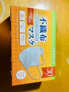 新品　未使用　不織布　マスク　耳痛軽減　小さめ　子供　30枚入り×15箱