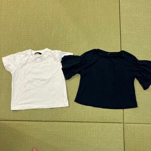 Tシャツ 半袖 半袖Tシャツ