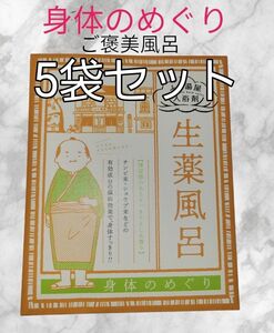 5袋セット！贅沢◎ご褒美◎ 生薬風呂　入浴剤 身体のめぐり！疲労回復 冷え性 肩こり 荒れ肌 腰痛 湿疹 産前産後 神経痛 痔