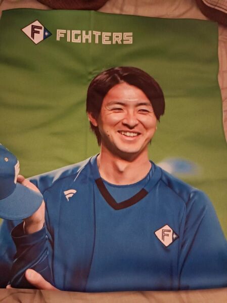 上沢直之 15番 北海道日本ハムファイターズ FINALシリーズタオルくじ タオル ピンバッジ2個付き