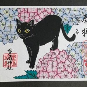 重蔵神社　御朱印　猫　ネコ　ねこ　紫陽花　アジサイ
