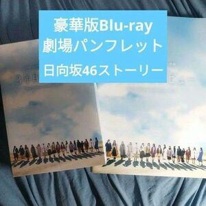 【豪華版Blu-rayセット】日向坂46 3年目のデビュー 豪華版Blu-ray・劇場パンフレット・日向坂46ストーリー