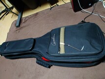 Godin Session LTD _画像8