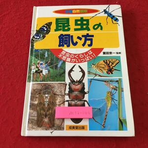 M5b-146 昆虫の飼い方 カバーなし 監修 富田京一 発行日不明 成美堂出版 辞典 子供向け 昆虫 カブトムシ クワガタムシ アゲハチョウ 生態