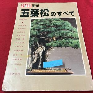 M5c-090 近代 盆栽 増刊号 五葉松のすべて 実生・小品・技術応用篇 長所を生かした小品への改作 昭和62年12月1日発行