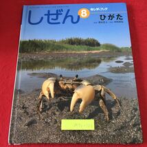 M5c-126 ひがた しぜんキンダーブック 8月号 2011年8月1日 発行 フレーベル館 知育絵本 教育 自然 潮干狩り 生物 生態 アシハラガニ 写真_画像1