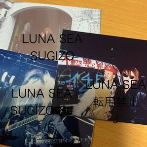 LUNA SEA SUGIZO、隆一、Jインディーズ時代ライブ写真&移動中写真