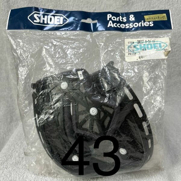 新品 SHOEI QUEST チークパッド ショウエイ ヘルメット 内装43 パッド オプションリペアパーツ A60226-7