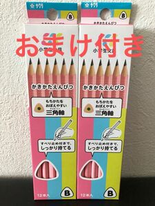 三角鉛筆　かきかた鉛筆　B 2ダース(24本) ピンク＆水色　三角軸　黒芯　初めての鉛筆　持ちやすい　さくらクレパス　クーポン