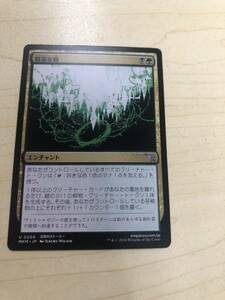 同梱発送歓迎！　MTG 陰湿な根　日本語版