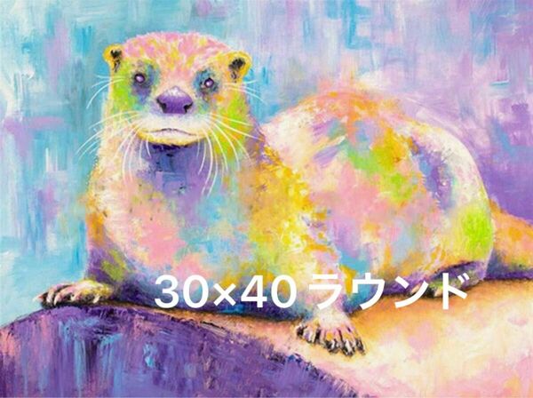 【370】ダイヤモンドアート　キット　30×40 ラウンドビーズ　カラフルなフェレット