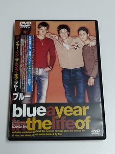 DVD/Blue「ア・イヤー・イン・ザ・ライフ・オブ・ブルー」(レンタル落ち)