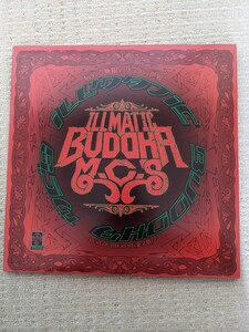 buddha brand 病める無限のブッダの世界 illmatic buddha mc‘s drv large レコード record 日本語ラップ 金字塔 ブッダブランド