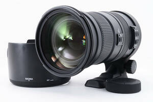 ★美品★ SIGMA シグマ APO 50-500mm F4.5-6.3 DG OS HSM Nikon ニコン 超望遠ズームレンズ フルサイズ対応 (3703)