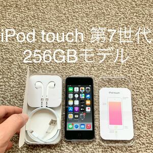 [ бесплатная доставка ]iPod touch no. 7 поколение 256GB Apple Apple A2178 iPod Touch корпус 