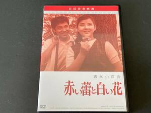 ☆ DVD 日活青春映画 赤い蕾と白い花　吉永小百合/浜田光夫☆