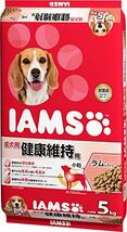 アイムス (IAMS) ドッグフード 成犬用 健康維持用 小粒 ラム&ライス 5kg_画像1