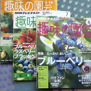 NHK趣味の園芸ブルーベリー特集3冊