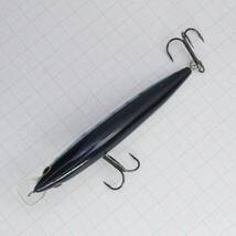 sラパラ BXミノー 10 イワシ ■E215 BX Minnow Rapala_画像3