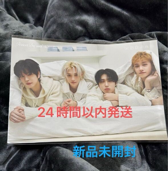 新品未開封 straykids 本国シーグリ2024