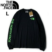 1円～!売切!【正規新品】THE NORTH FACE◆L/S HIT GRAPHIC TEE 長袖 Tシャツ ロンT US限定 2023最新 袖ロゴ 男女兼用(L)黒 180902-23_画像3