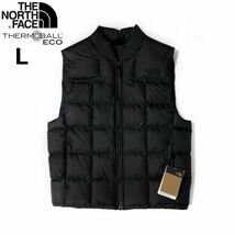 1円～!売切!【正規新品】THE NORTH FACE LHOTSE REVERSIBLE VEST 中綿 ベスト US限定 キルティング リバーシブル ダウン(L)黒 190122-100-c_画像3