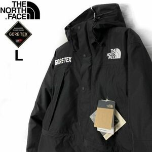 1円～!売切!【正規新品】THE NORTH FACE GORE-TEX MOUNTAIN GUIDE INSULATED JACKET ダウンジ ゴアテックス US限定 撥水(L)黒 190122-350-c