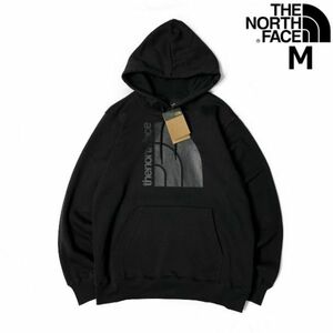 1円～!売切!【正規新品】THE NORTH FACE◆JUMBO HALF DOME HOODIE パーカー US限定 裏起毛 ビッグハーフドーム(M)黒 181130-30