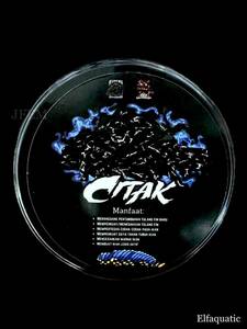 CITAK チタック 40g 沈下性 / スネークヘッド専用飼料 / カエル100% / JFEM ジェフェム